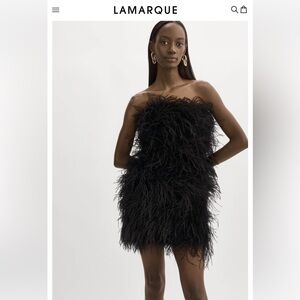 Lamarque feather dress